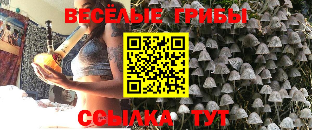Галлюциногенные грибы прущие грибы Каменск-Уральский
